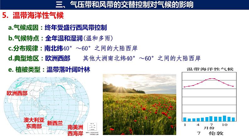 3.3 气压带和风带对气候的影响（第2课时 气候与自然景观）课件08