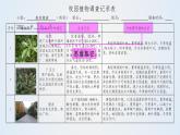 思维课堂之地理实践力植被观察 课件