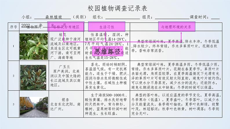 思维课堂之地理实践力植被观察 课件第3页