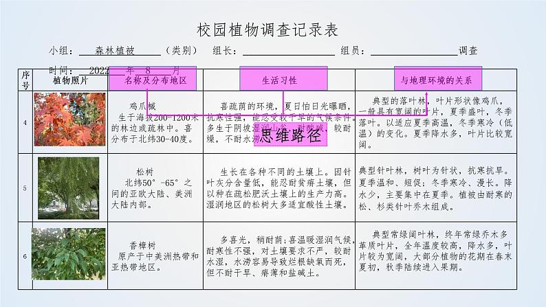 思维课堂之地理实践力植被观察 课件第4页