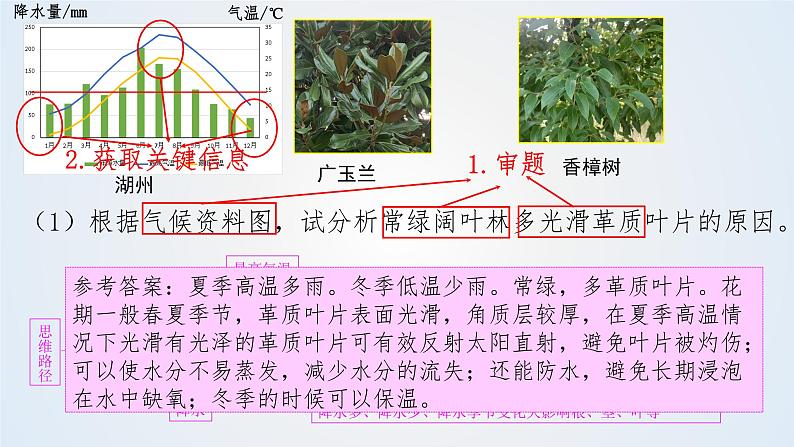 思维课堂之地理实践力植被观察 课件第5页