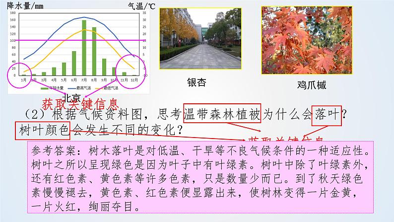 思维课堂之地理实践力植被观察 课件第6页