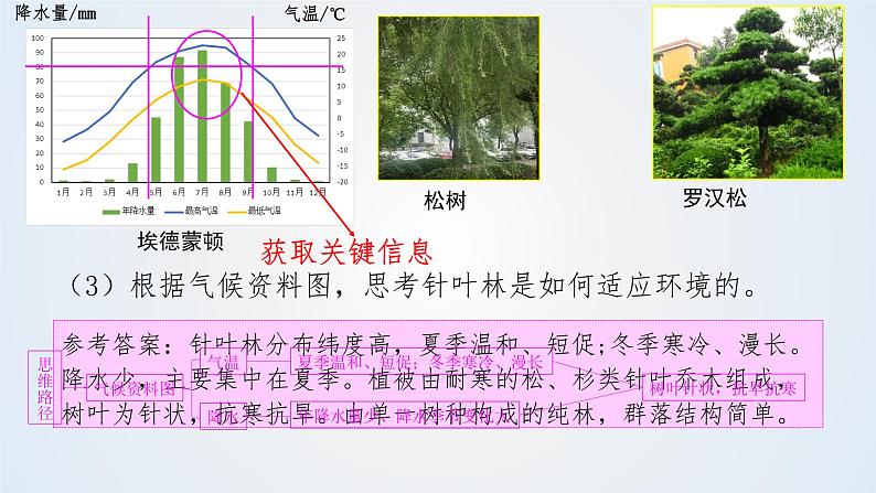 思维课堂之地理实践力植被观察 课件第7页