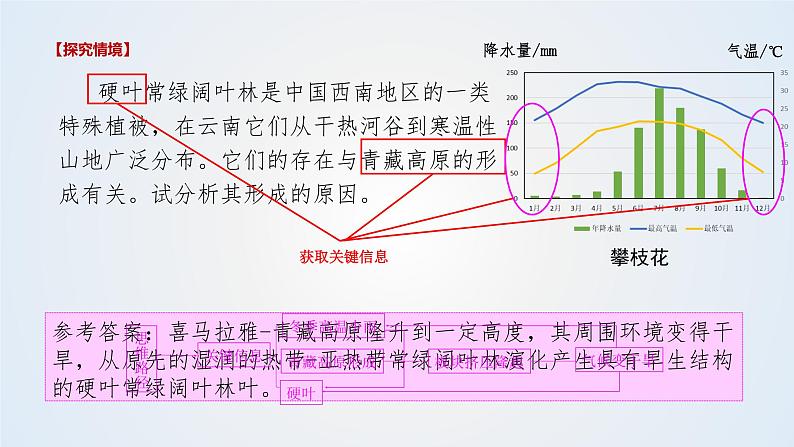 思维课堂之地理实践力植被观察 课件第8页