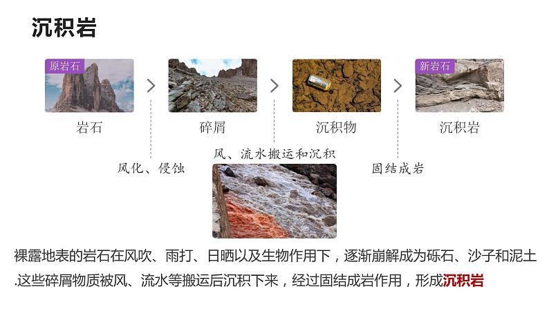 1.3 地球的历史 课件第7页