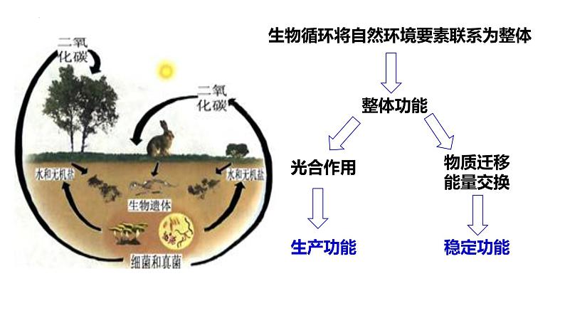 5.1 自然地理环境的整体性 课件06