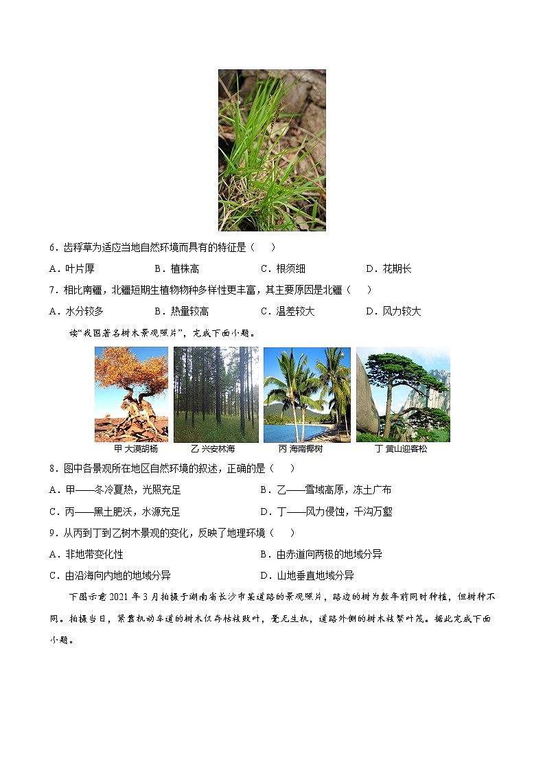 5.1 主要植被与自然环境（课时作业）-高一地理上册同步备课系列（湘教版2019必修第一册）02
