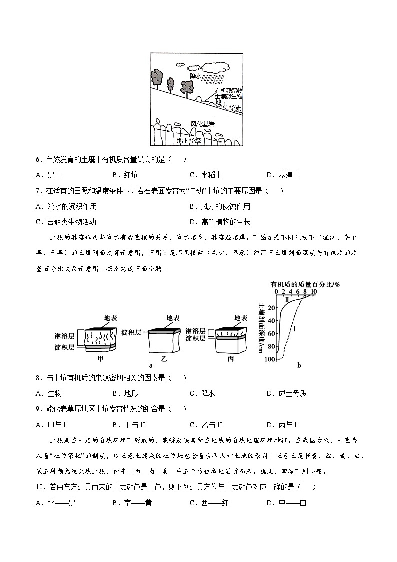 5.2 土壤的形成（课时作业）-高一地理上册同步备课系列（湘教版2019必修第一册）02