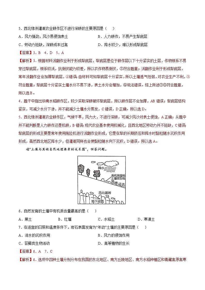 5.2 土壤的形成（课时作业）-高一地理上册同步备课系列（湘教版2019必修第一册）02