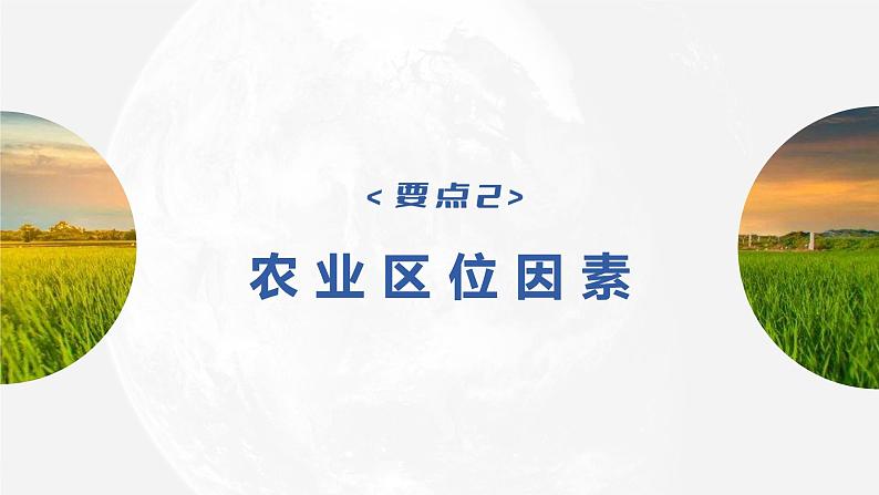 2023年高考地理一轮复习（新人教版） 第2部分第3章 第1讲 课时52　农业区位因素第8页