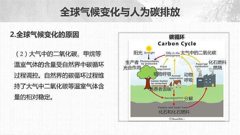 2023年高考地理一轮复习（新人教版） 第4部分 第3章 课时83全球气候变化与国家安全第8页