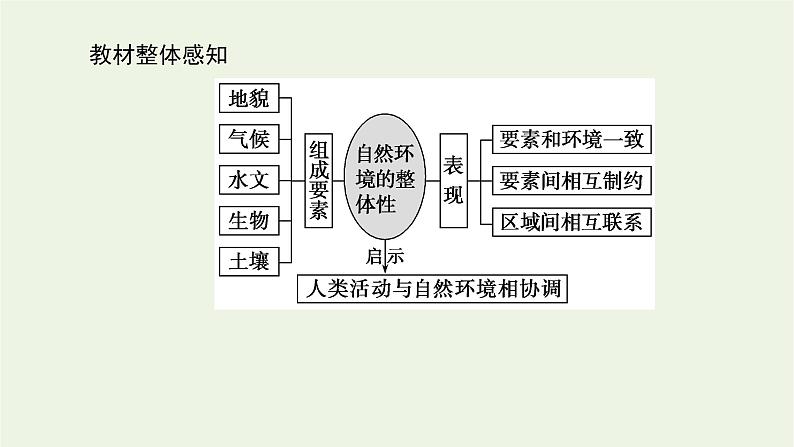 统考版2022届高考地理一轮复习第15讲自然地理环境的整体性课件第3页