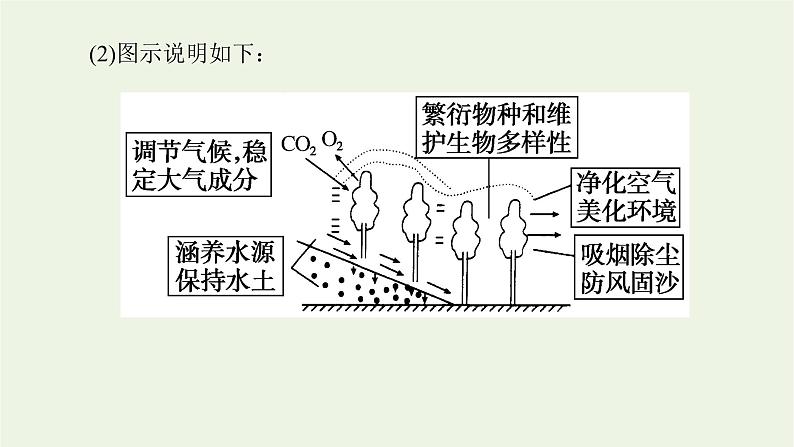 统考版2022届高考地理一轮复习第31讲森林湿地的开发和保护课件第8页