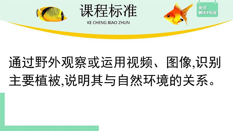 高中地理必修第一册（湘教版）拓展课件5-1 主要植被与自然环境第4页