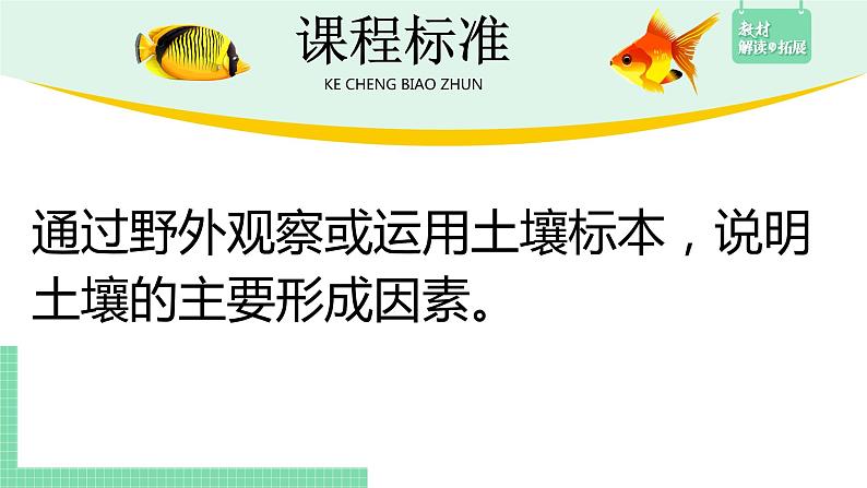 高中地理必修第一册（湘教版）拓展课件5-2土壤的形成03