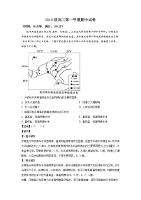 2023济南十一中高三上学期期中考试地理试题含解析