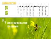3.1常見天氣現(xiàn)象及成因課件PPT