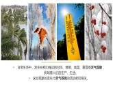 3.1常見天氣現(xiàn)象及成因課件PPT