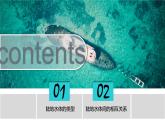 4.1陆地水体及其关系课件PPT