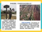 3.1城市的輻射功能 課件+教學(xué)設(shè)計+練習(xí)
