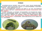 4.1 流域内协调发展 课件+教学设计+练习