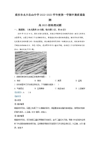 重庆市永川北山中学2022-2023学年高三地理上学期期中考试试卷（Word版附解析）