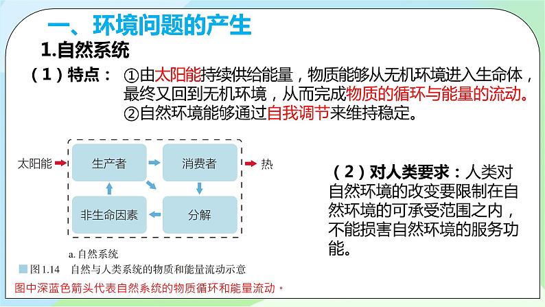 1.3 《环境问题及其危害》课件+教学设计+同步练习+教案+练习05