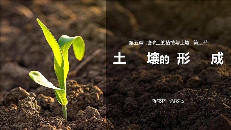 5.2土壤的形成因素课件PPT02