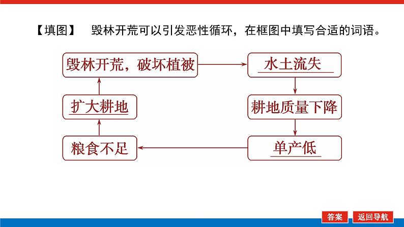 2023新教材高中地理复习课件：第51讲 热点2 东南亚 南亚——印度08