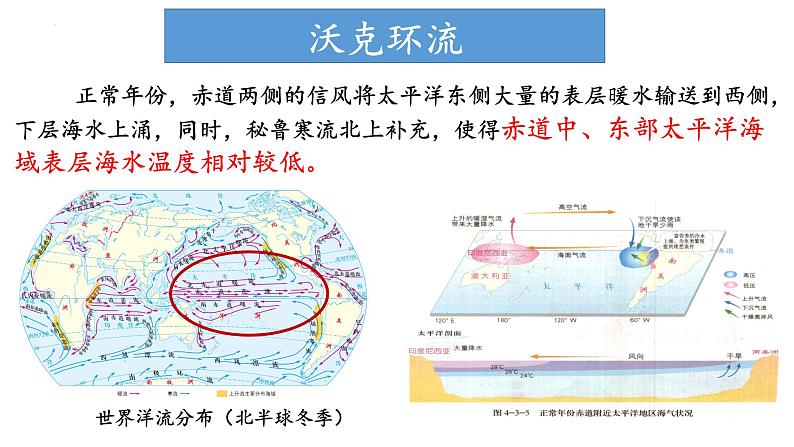 4.3.2 海-气相互作用及影响（厄尔尼诺、拉尼娜现象及影响）（课件）-2022-2023学年高二地理同步精品课堂（中图版2019选择性必修1）03