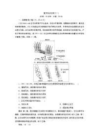 新高中地理高考2021年高考地理一轮复习 章末综合检测(十一)