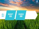 新高中地理高考2023年高考地理一轮复习（新人教版） 第2部分第3章 第1讲 课时52　农业区位因素课件PPT