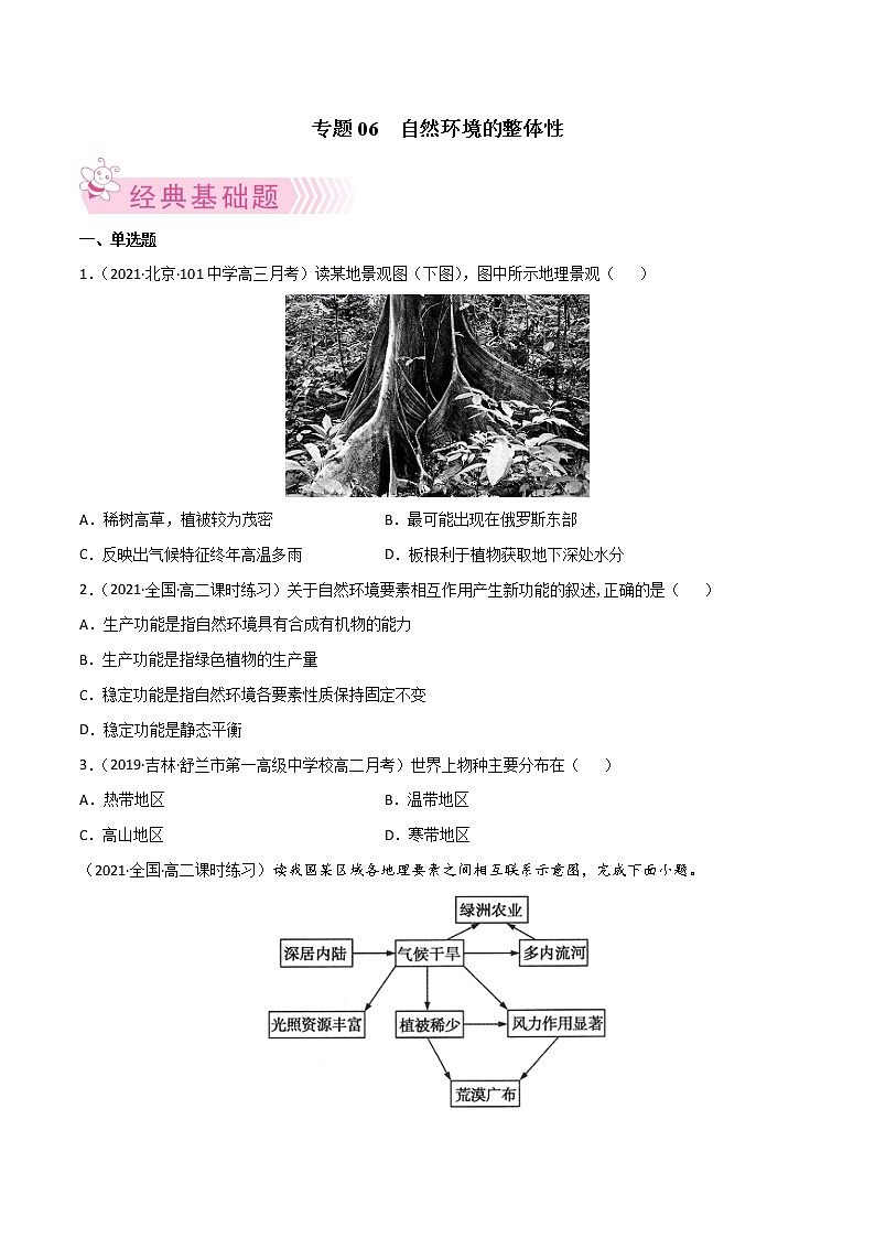 【期末专题复习】人教版(2019)地理选择性必修1——期末备考专题06  自然环境的整体性（原卷版）第1页