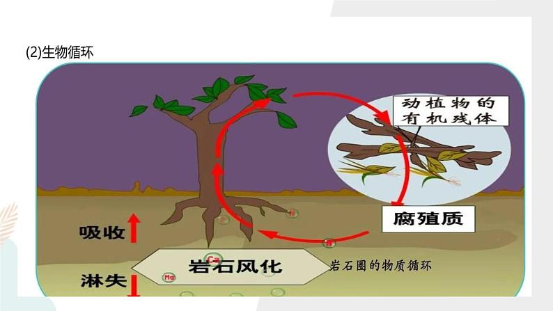 5.1自然环境的整体性课件08