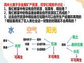 1.1自然资源与人类活动 课件