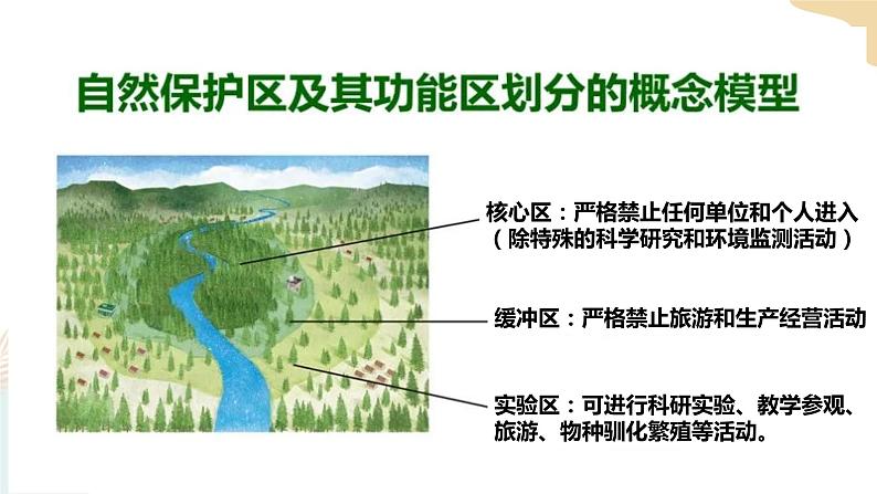 第三章 第二节 自然保护区与生态安全 课件第6页