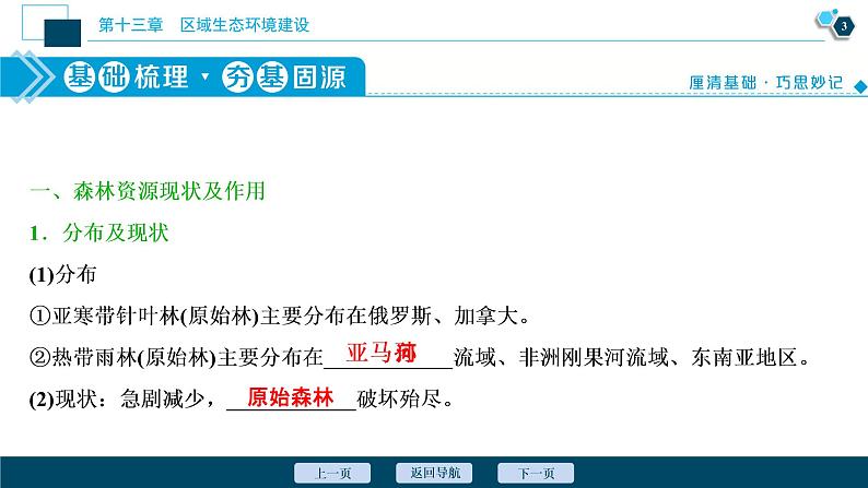 新高中地理高考新高考地理一轮复习 第28讲　森林的开发和保护——以亚马孙热带雨林为例课件PPT第4页