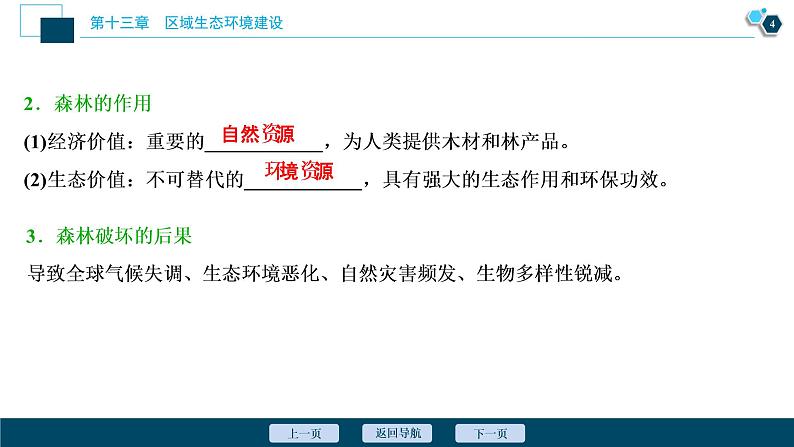 新高中地理高考新高考地理一轮复习 第28讲　森林的开发和保护——以亚马孙热带雨林为例课件PPT第5页