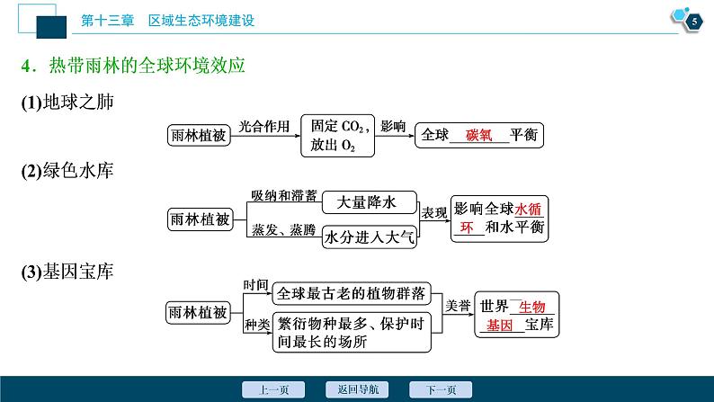 新高中地理高考新高考地理一轮复习 第28讲　森林的开发和保护——以亚马孙热带雨林为例课件PPT第6页