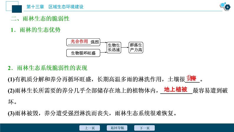 新高中地理高考新高考地理一轮复习 第28讲　森林的开发和保护——以亚马孙热带雨林为例课件PPT第7页