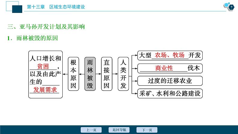 新高中地理高考新高考地理一轮复习 第28讲　森林的开发和保护——以亚马孙热带雨林为例课件PPT第8页