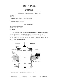 新高中地理高考专题11环境与发展(答案版)