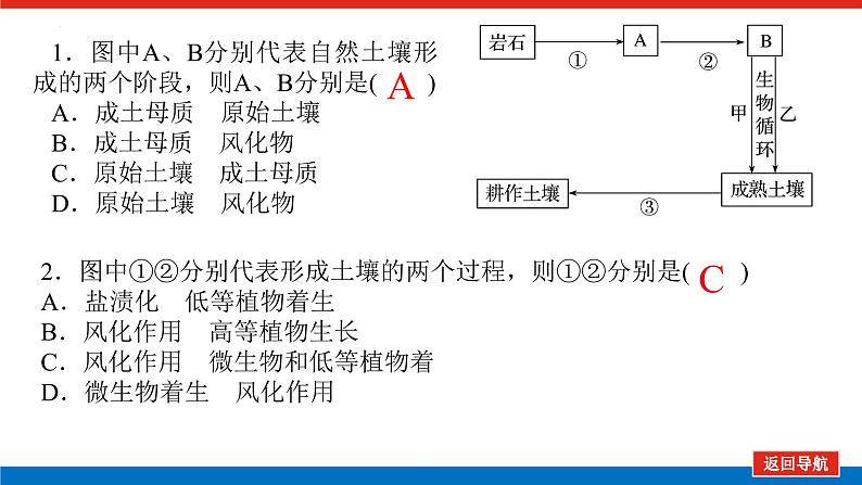 5.2.2土壤的主要形成因素课件PPT03