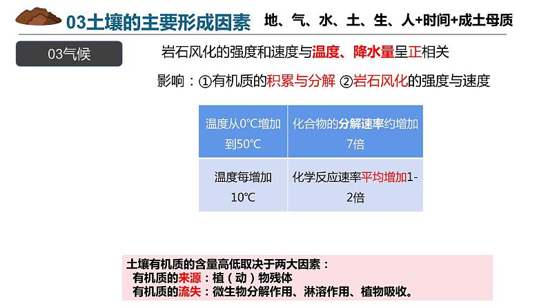 5.2.2土壤的主要形成因素课件PPT06