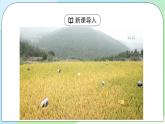 2.3《中国的耕地资源与粮食安全》课件（送教案+练习）