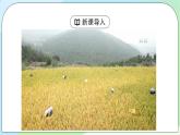 2.3《中國的耕地資源與糧食安全》課件+教案+練習(xí)