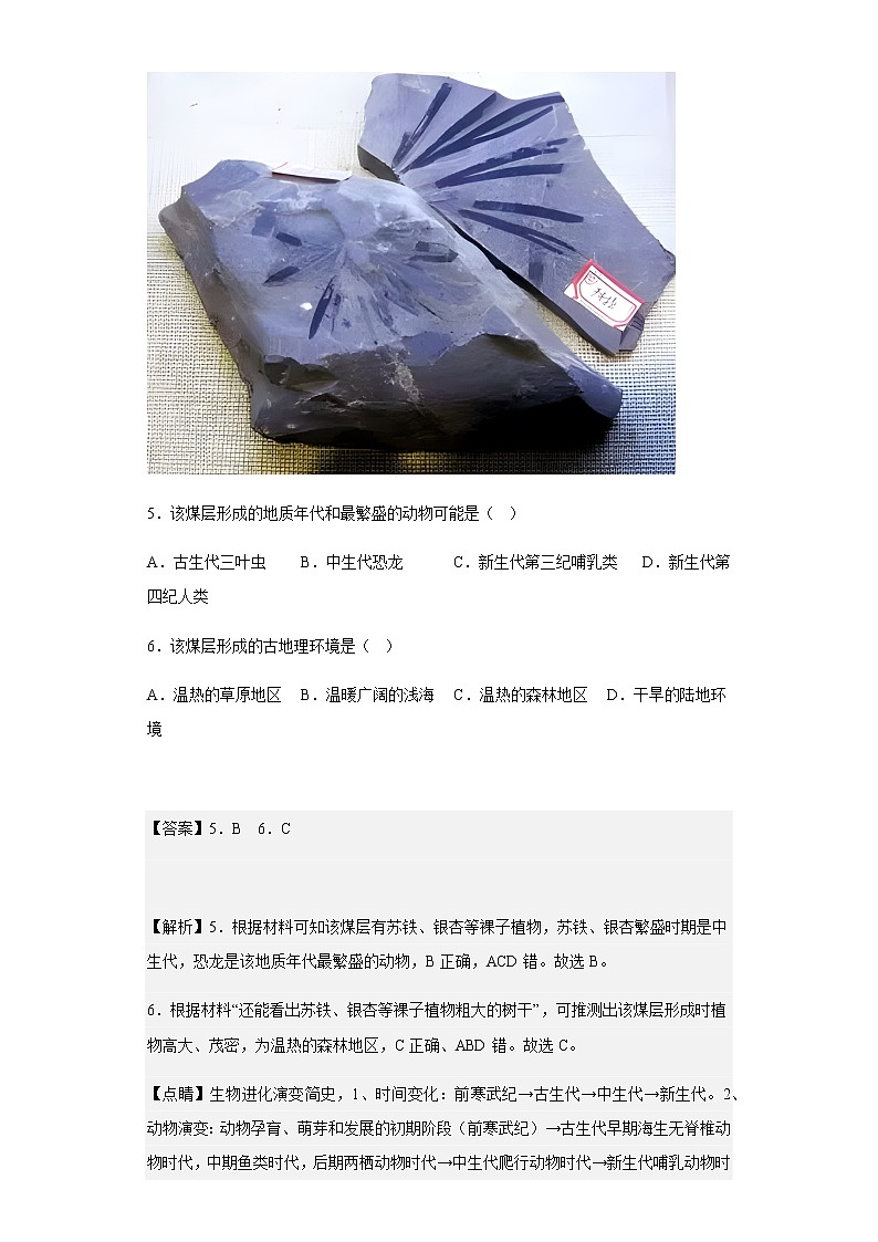 2022-2023学年福建省德化一中、永安一中、漳平一中三校协作高一上学期12月联考地理试题含解析03