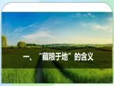 問題研究：《如何“藏糧于地”》課件+教案
