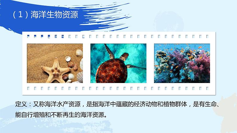 4.3 《海洋与人类》课件07