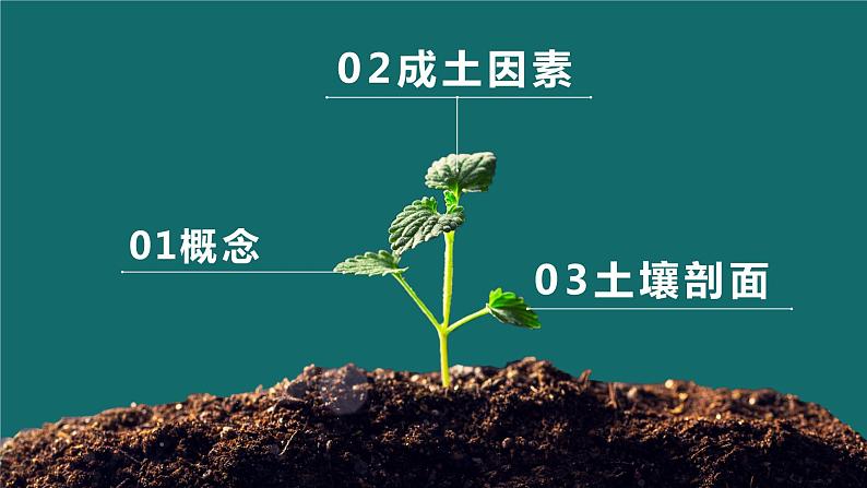 5.2 《土壤的形成》课件05